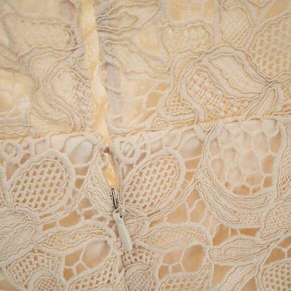 Dress the Population  Avianna Rose Lace Dress | Cream | XS | NWT - Picture 7 of 15